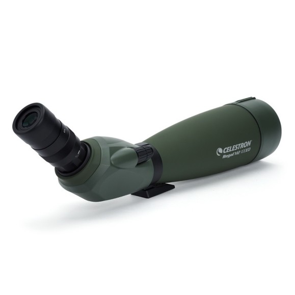 Celestron Télescope terrestre Regal M2 100ED