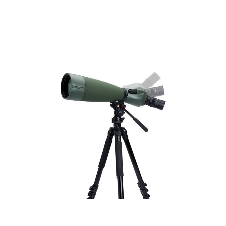 Celestron Télescope terrestre Regal... Celestron Télescope terrestre Regal...