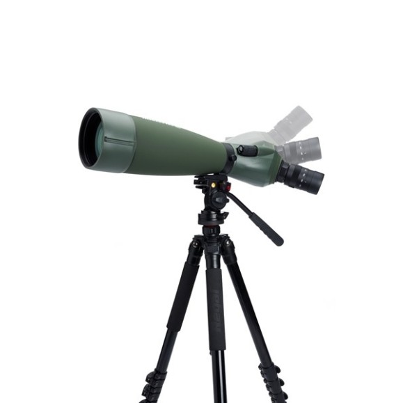 Celestron Télescope terrestre Regal M2 100ED