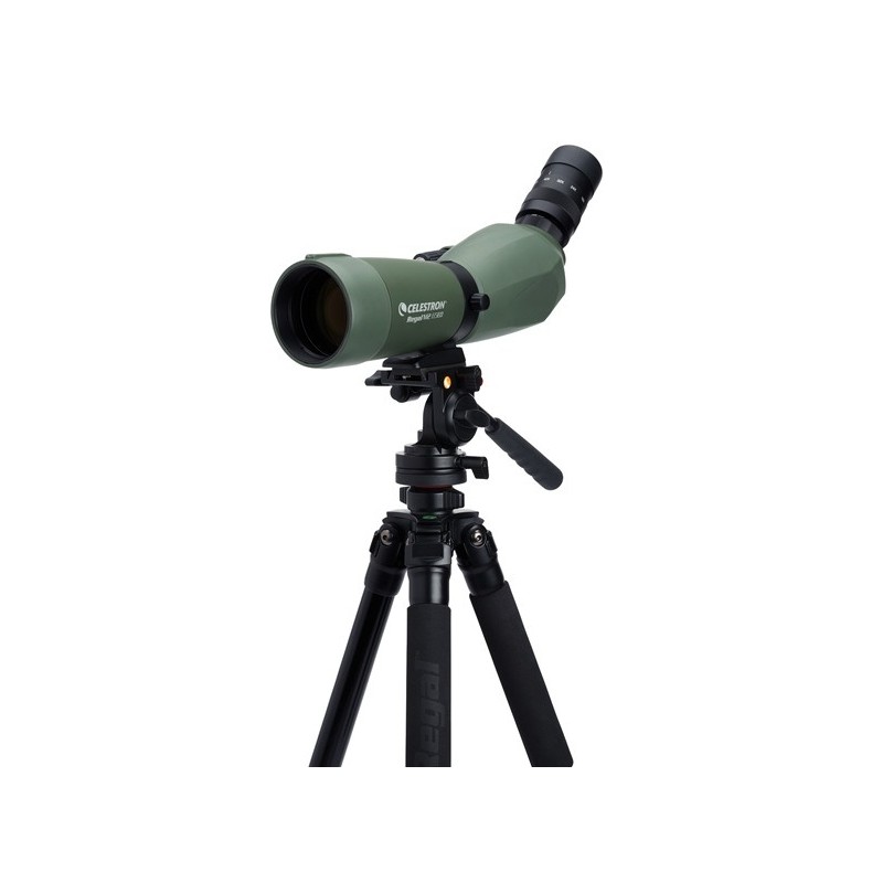 Celestron Télescope terrestre Regal...