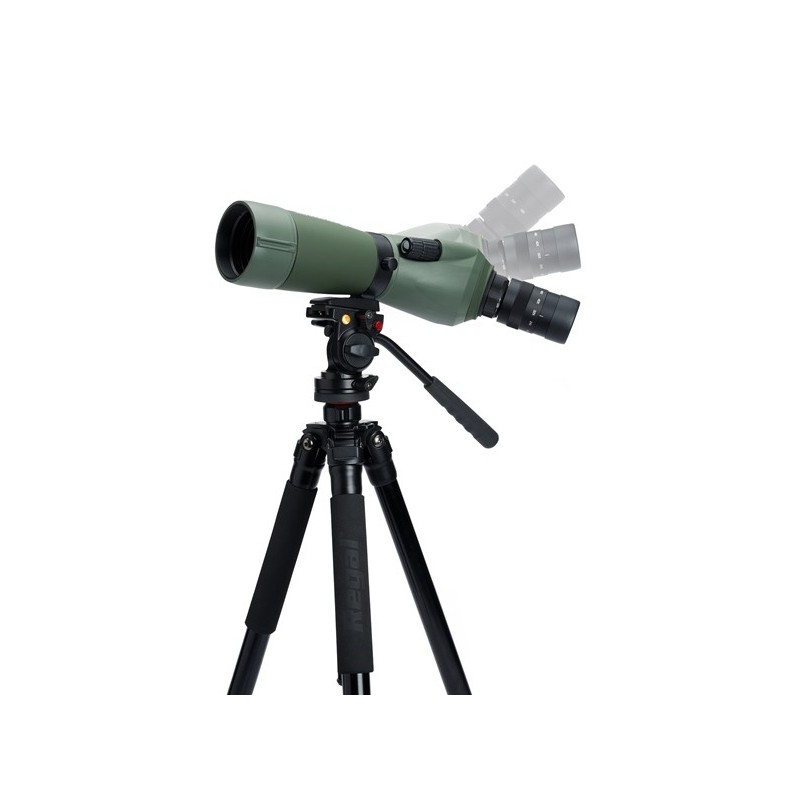 Celestron Télescope terrestre Regal...