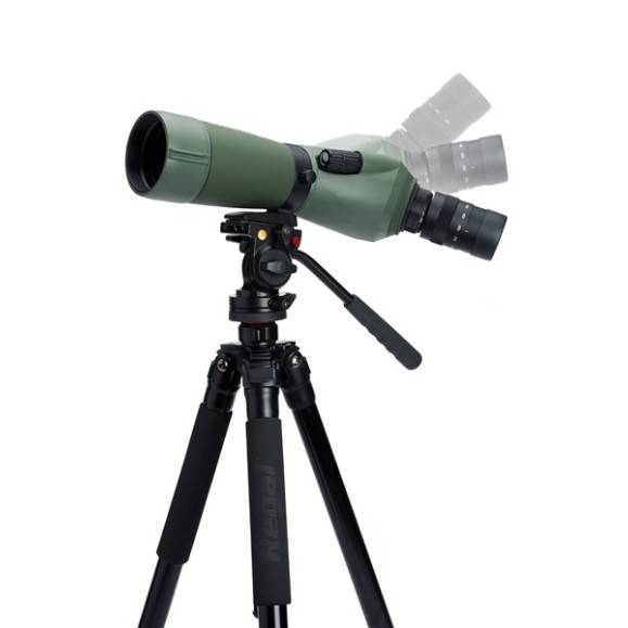 Celestron Télescope terrestre Regal M2 65 ED 52304