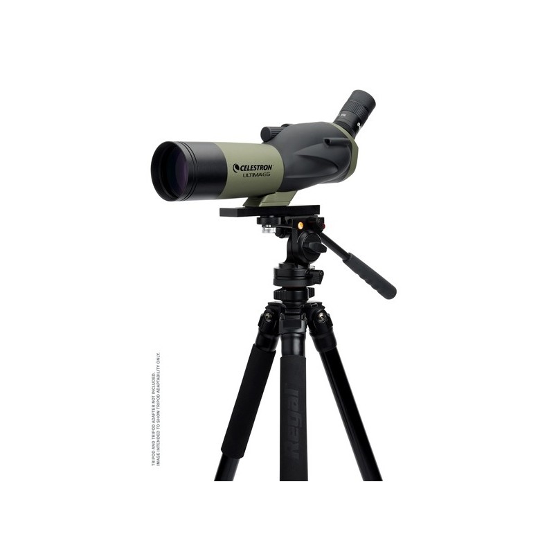 Celestron Télescope terrestre Ultima...