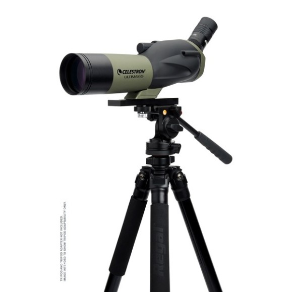 Celestron Télescope terrestre Ultima 65 52248