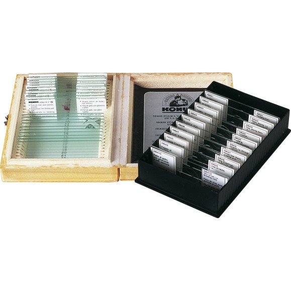 Échantillons préparés SERIES D'ENSEIGNEMENT EN BIOLOGIE 1 4963