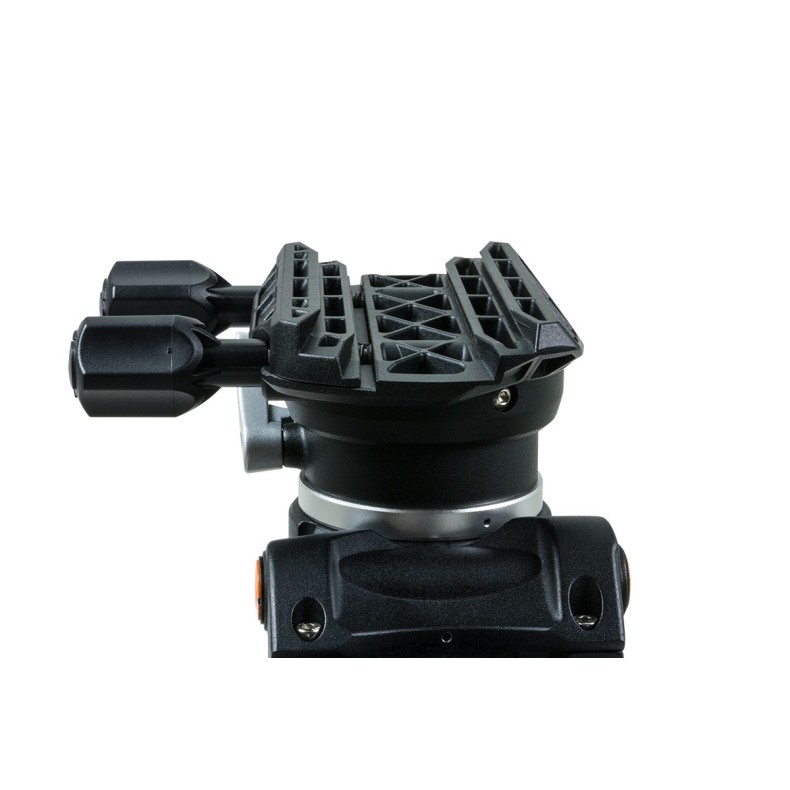 Celestron Monture équatoriale CGEM II...