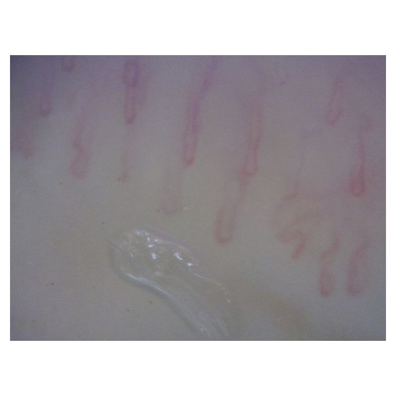 Dino-Lite Microscope numérique... Dino-Lite Microscope numérique...