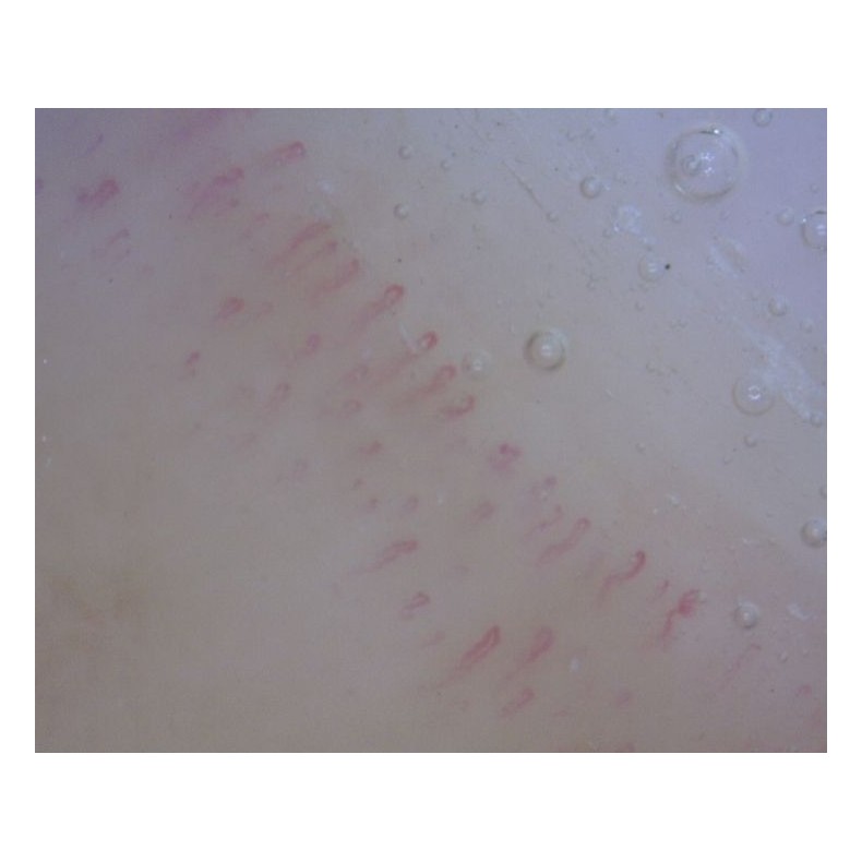 Dino-Lite Microscope numérique... Dino-Lite Microscope numérique...