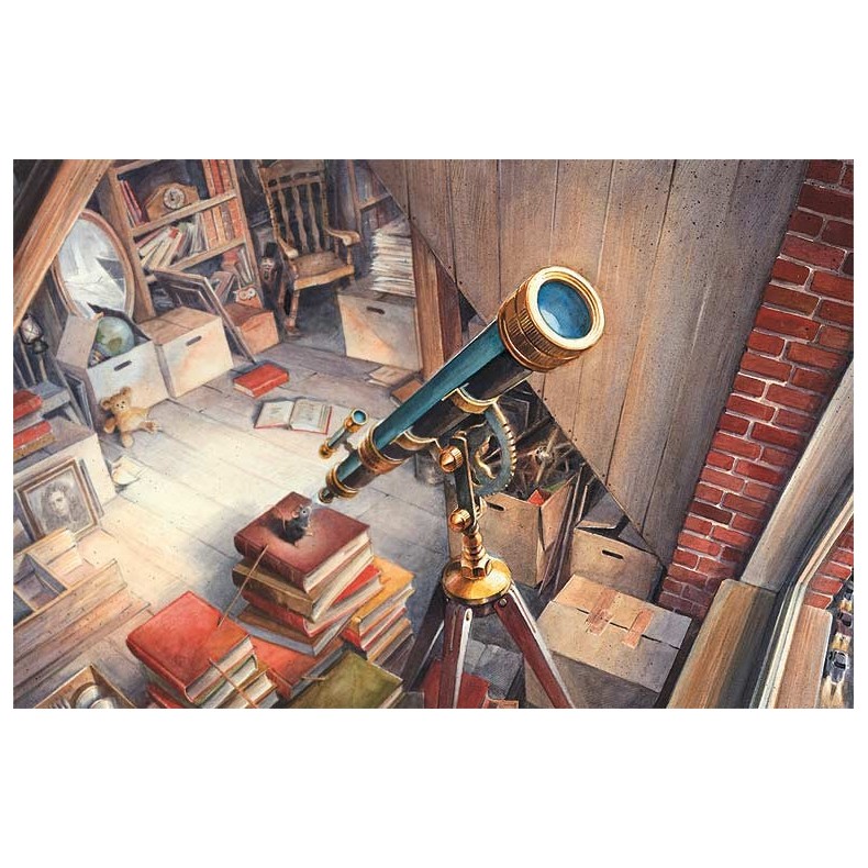 Armstrong : l'incroyable voyage d'une...