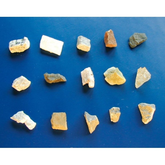 Bresser Junior Microscope stéréo 20x 8852000