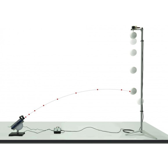 Paradoxe du singe et du fauve OPTIKA SCIENCE