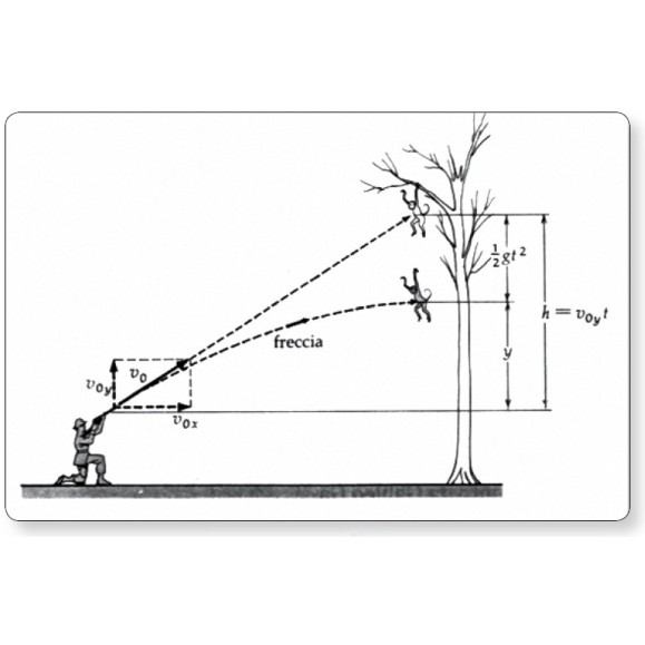 Paradoxe du singe et du fauve OPTIKA SCIENCE