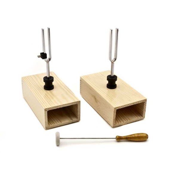 Paire de diapasons OPTIKA SCIENCE