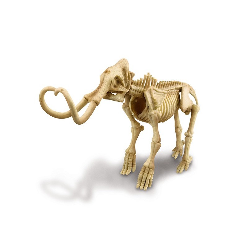 Squelette de mammouth Dinosaure 4M Squelette de mammouth Dinosaure 4M