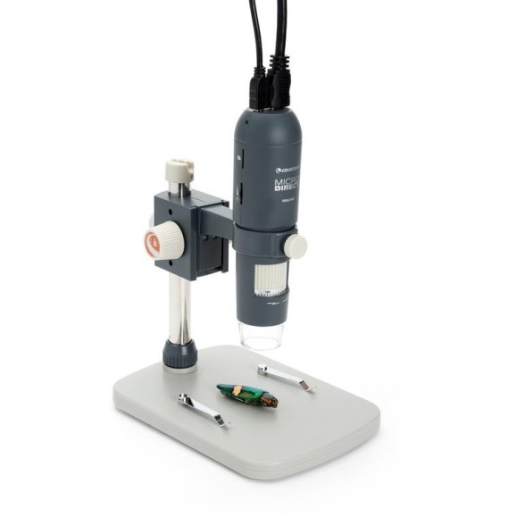 Celestron Microscope numérique Microdirect 1080P HD Handheld