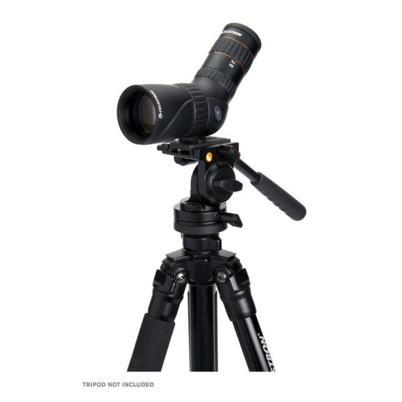 Celestron Télescope terrestre Hummingbird ED 9-27x56 45°