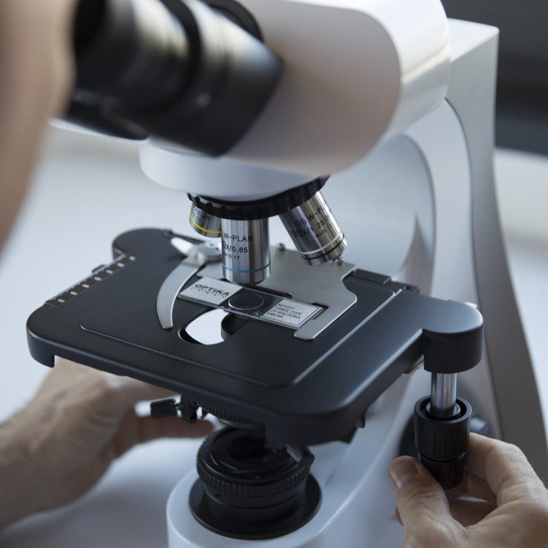 OPTIKA Microscope biologique B-510BF OPTIKA Microscope biologique B-510BF