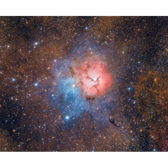 Optolong Filtre L-Pro anti-pollution à large bande EOS-FF