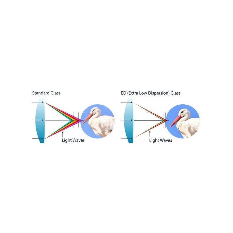 Celestron Jumelles Trailseeker ED 10X42
