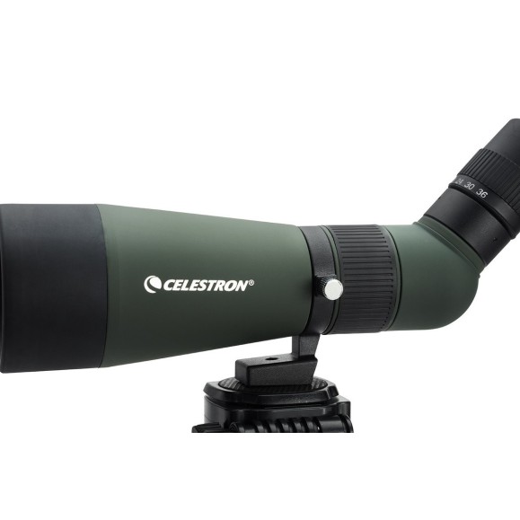 Celestron Télescope terrestre Landscout 12-36x60mm