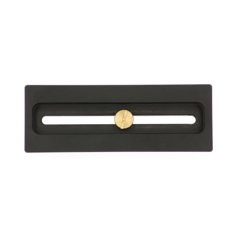 Kepler Queue d'aronde mâle 12cm photo... Kepler Queue d'aronde mâle 12cm photo...