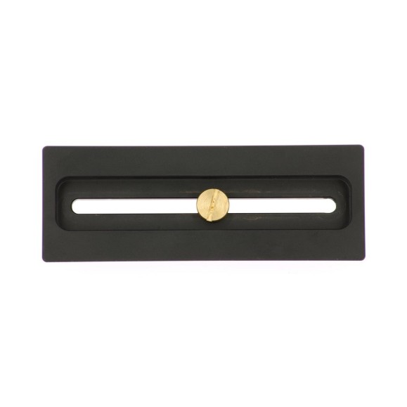 Kepler Queue d'aronde mâle 12cm photo avec vis Kodak