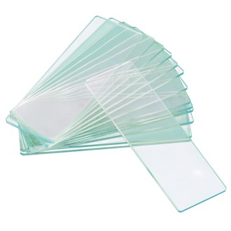 Levenhuk Lames à deux...