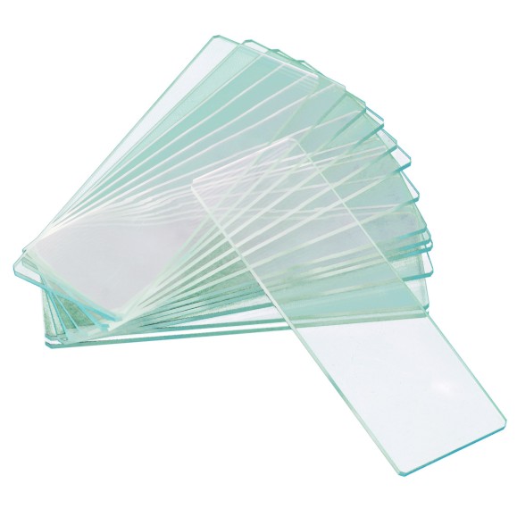 Levenhuk Lames à deux cavités vides G50 2H, 50 pcs