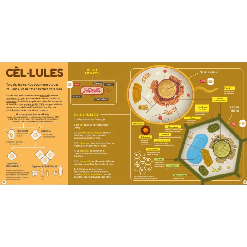 Microbis (EN CATALÀ) Microbis (EN CATALÀ)