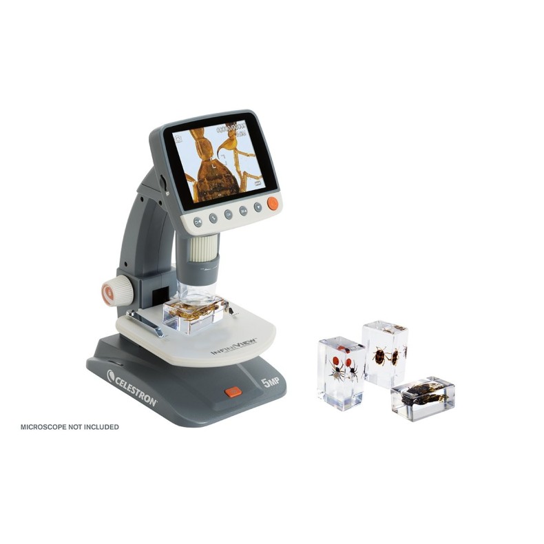 Kit de préparation 3D pour insectes n° 4