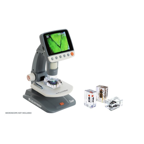 Kit de préparation 3D pour insectes n° 5