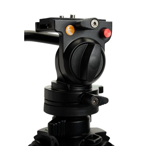 Celestron Trépied Regal Premium