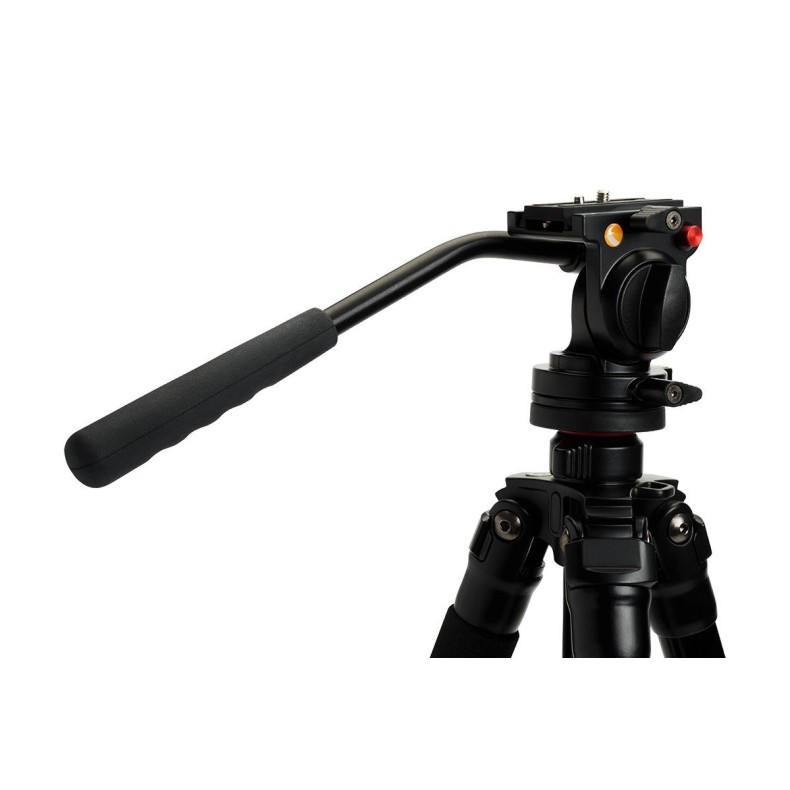 Celestron Trépied Regal Premium