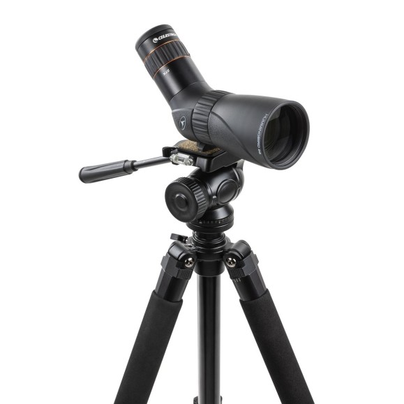 Télescope CELESTRON Hummingbird 9-27x56