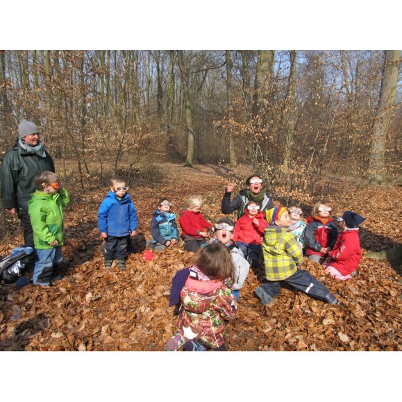 Lunettes d'éclipse solaire BAADER PLANETARIUM AstroSolar® Argent/Or 2459294