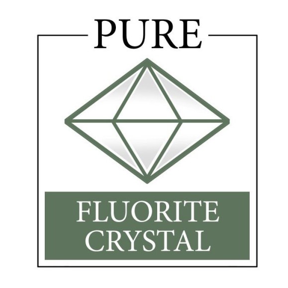 Kowa Kit lunette d'observation TSN-88A avec oculaire zoom 25-60x TE-11 WZ II et étui en néoprène