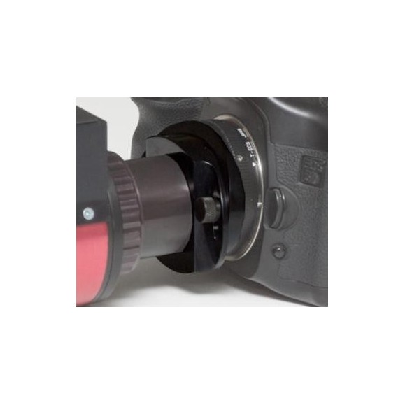 Correcteur d'interférence Daystar T-Mount