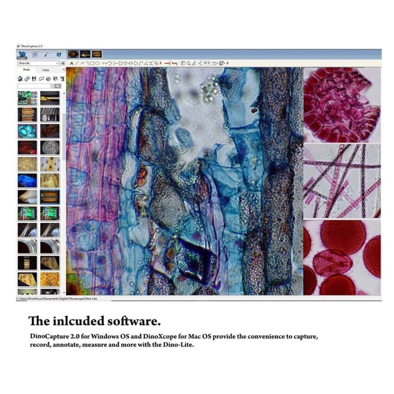 Dino-Lite Caméra oculaire AM7025X