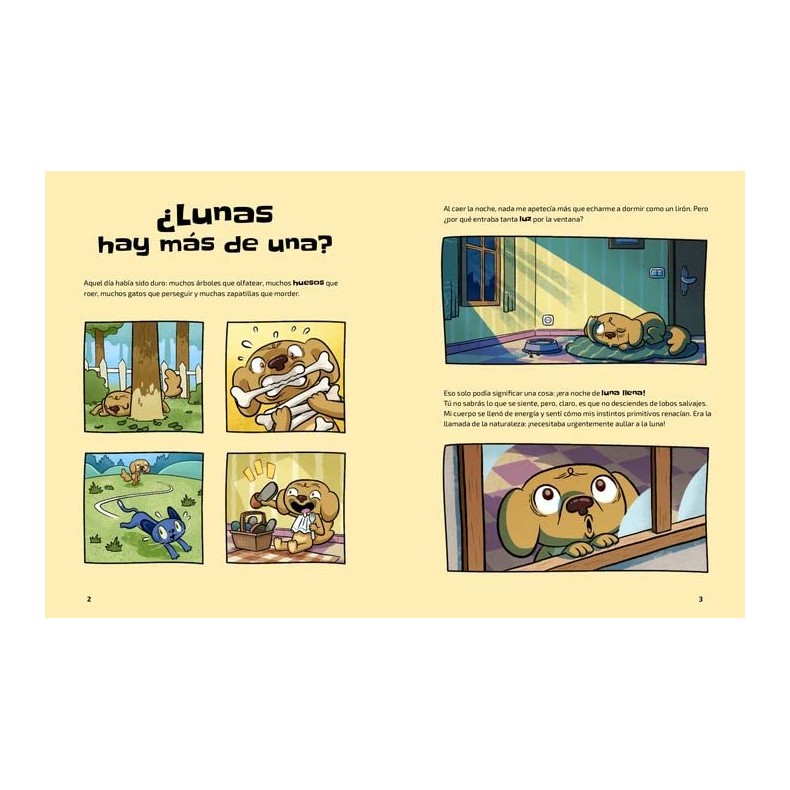 Livre L'Univers (Nanda Rea) Livre L'Univers (Nanda Rea)