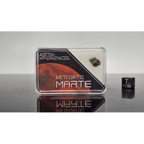 Météorite de Mars Erg Chech 012