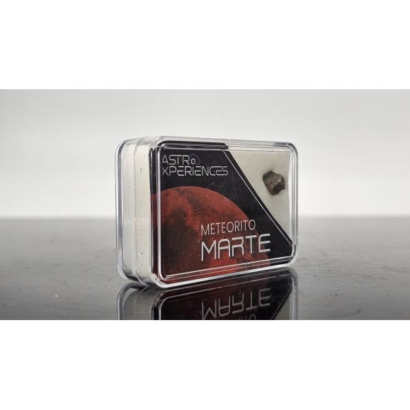 Météorite de Mars Erg Chech 012