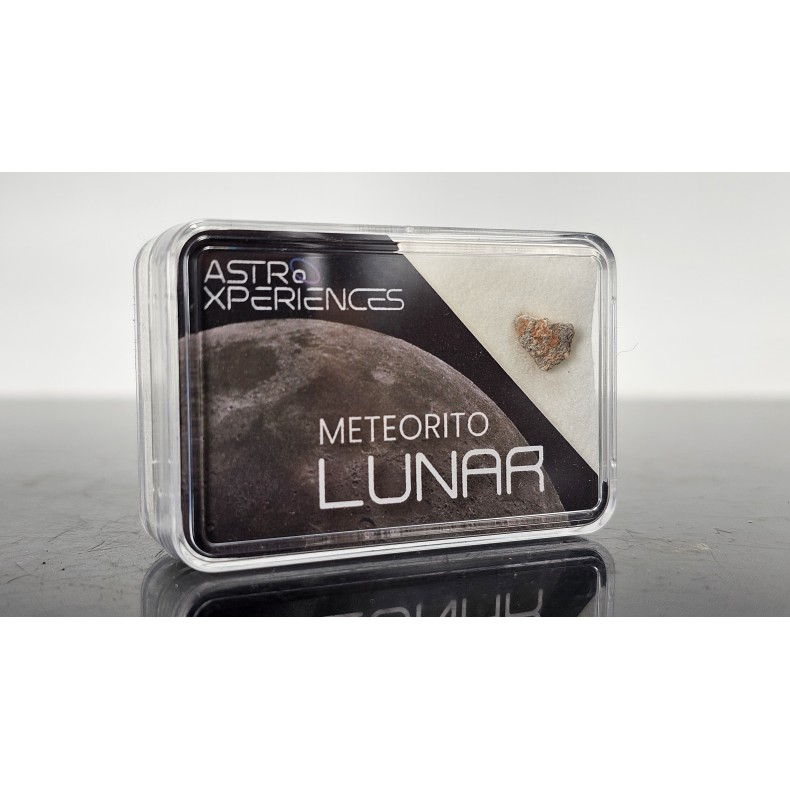 Météorite lunaire Bechar 007 Météorite lunaire Bechar 007