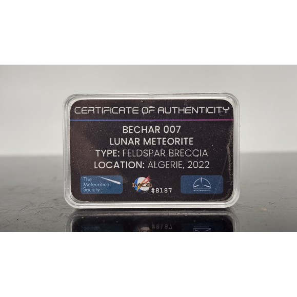 Météorite lunaire Bechar 007