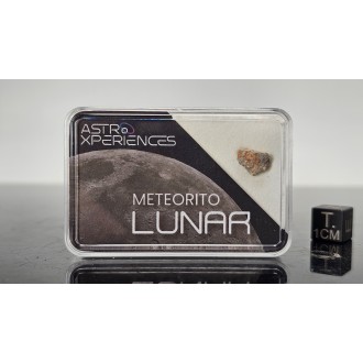 Météorite lunaire Bechar 007