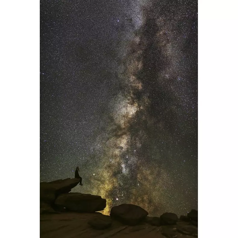 SkyWatcher BD DUAL SPEED 200/1000... SkyWatcher BD DUAL SPEED 200/1000...