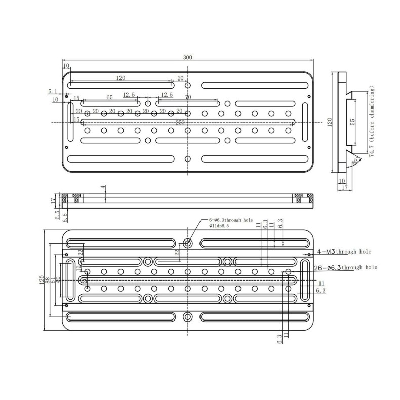 Losmandy ASKAR à queue d'aronde 300mm