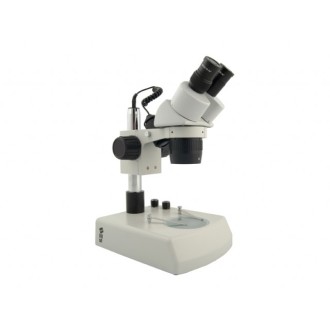 Microscopio Estereoscópico BMS 11-B-2L