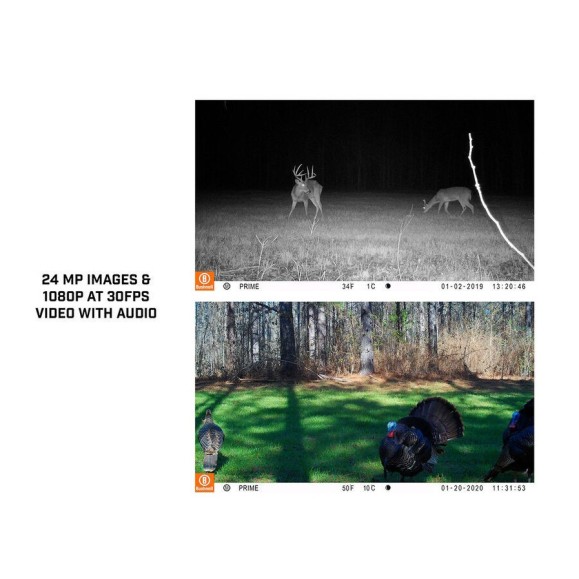 BUSHNELL Prime COMBO - Caméra à faible flux 24MP