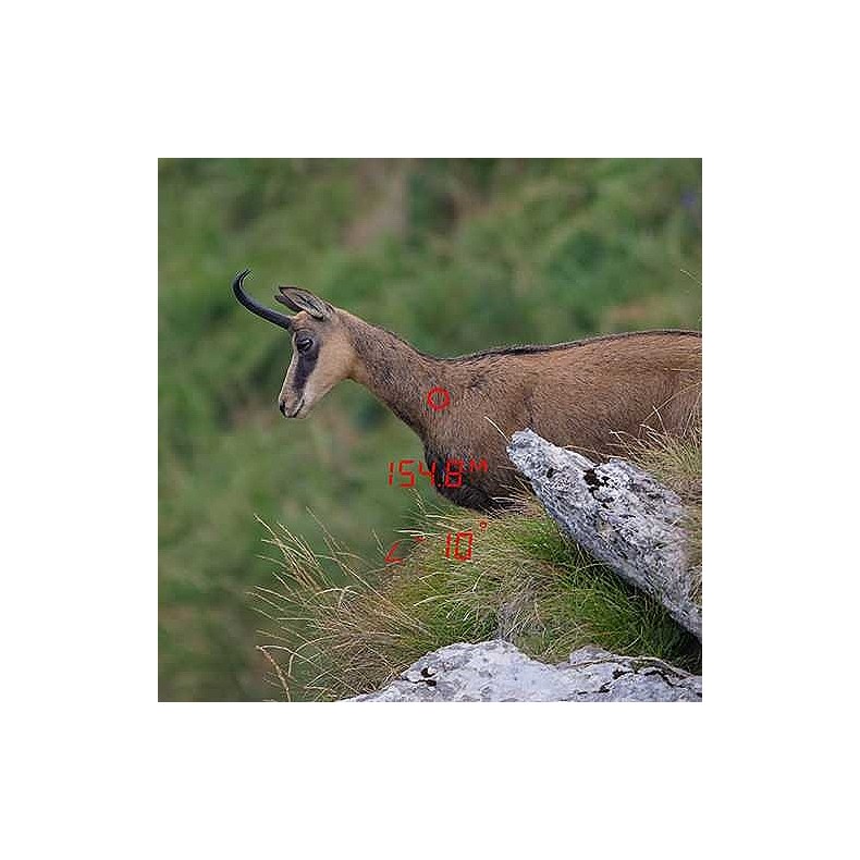 GPO Jumelles RANGEGUIDE 3200 10x40 Noir GPO Jumelles RANGEGUIDE 3200 10x40 Noir