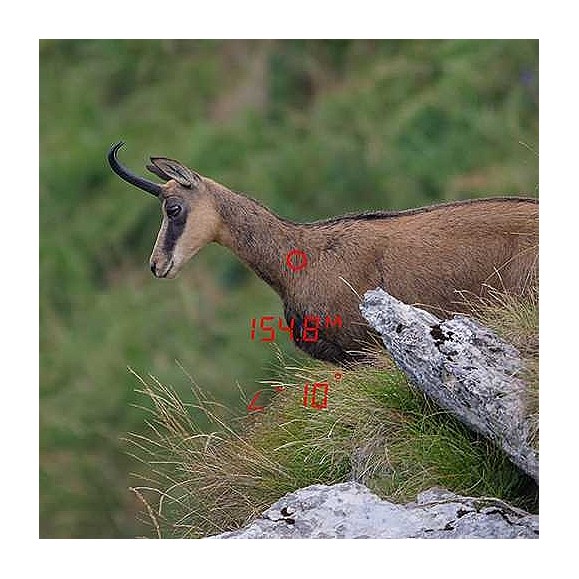 GPO Jumelles RANGEGUIDE 3200 10x40 Noir